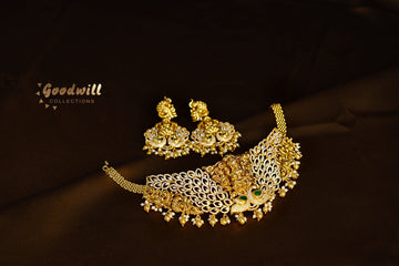 STONE STUDDED PEACOCK CHOKER SET